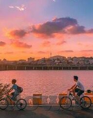 进足球比分-进足球比分，激情背后的数据密码与深度解读
