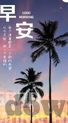 女2019排世界杯-女足世界杯2019，荣耀与挑战并存